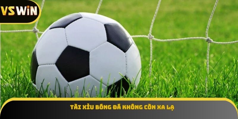 Tài xỉu bóng đá không còn xa lạ